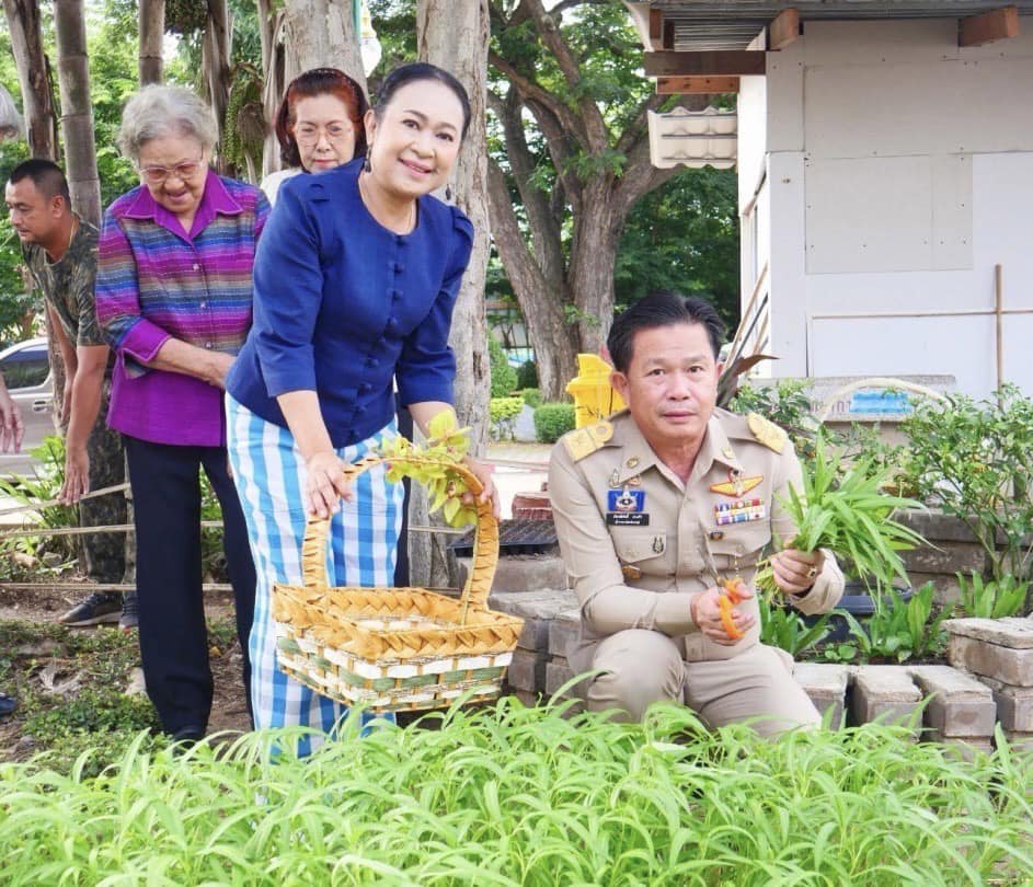 📣 พช.ราชบุรี ขับเคลื่อนโครงการบ้านนี้มีรักปลูกผักกินเองปลูกพืชผักสวนครัวเพื่อสร้างความมั่นคงทางอาหาร ณ บริเวณข้างศาลากลางจังหวัดราชบุรี