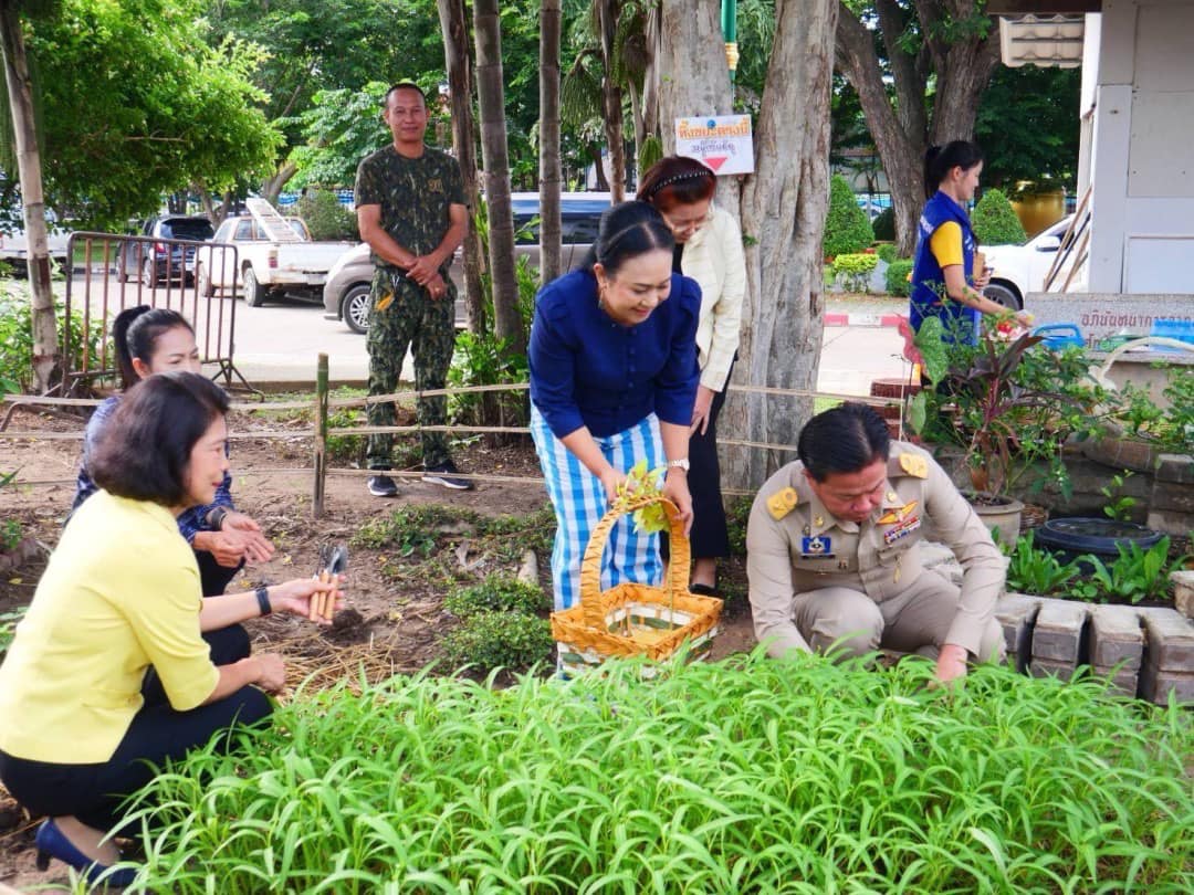📣 พช.ราชบุรี ขับเคลื่อนโครงการบ้านนี้มีรักปลูกผักกินเองปลูกพืชผักสวนครัวเพื่อสร้างความมั่นคงทางอาหาร ณ บริเวณข้างศาลากลางจังหวัดราชบุรี