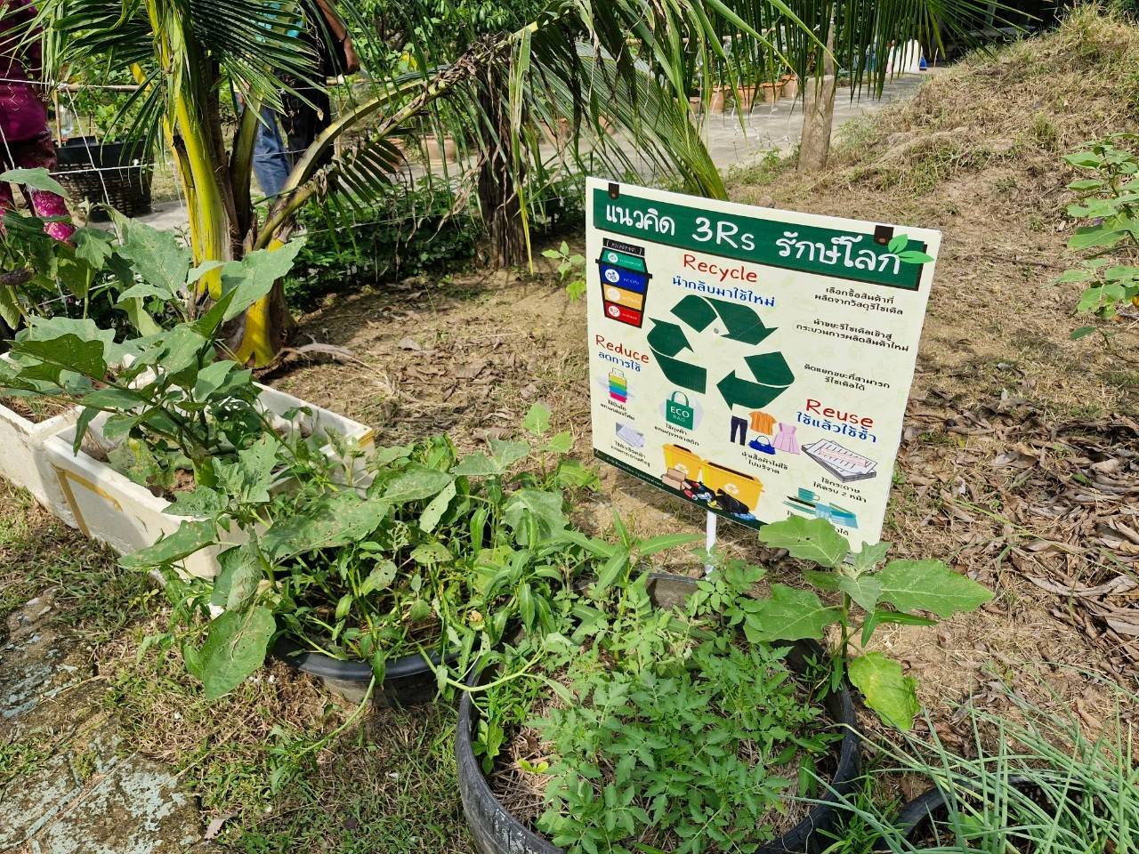 พช.บ้านโป่ง ร่วมเป็นคณะกรรมการฯ ตรวจประเมินการคัดเลือกชุมชน Like (ไร้) ขยะ  season 5 ประจำปี 2567