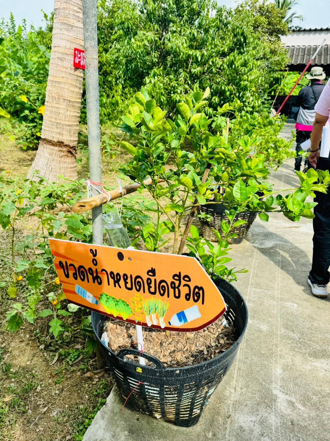 พช.บ้านโป่ง ร่วมเป็นคณะกรรมการฯ ตรวจประเมินการคัดเลือกชุมชน Like (ไร้) ขยะ  season 5 ประจำปี 2567