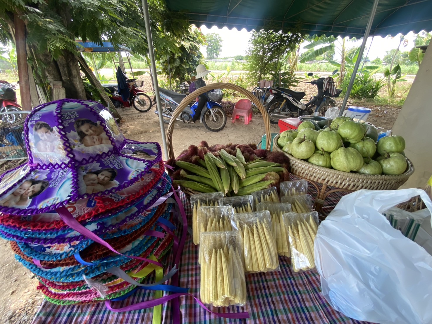 🎯พช.ราชบุรี เฟ้นคัดเลือกคนกองทุนพัฒนาบทบาทสตรีดีเด่น ระดับจังหวัด ตามโครงการเชิดชูเกียรติคนกองทุนพัฒนาบทบาทสตรี ประจำปี 2568