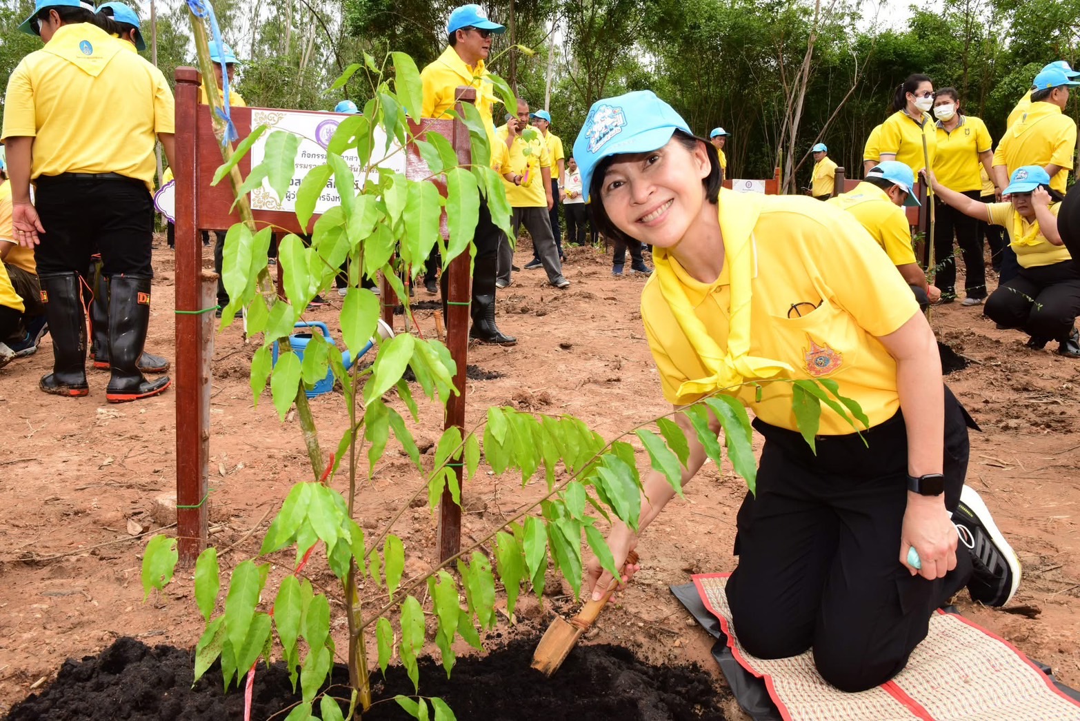 📣 พช. ราชบุรี เข้าร่วมกิจกรรมจิตอาสา “อุตสาหกรรมรวมใจ ปลูกต้นไม้ ฟื้นฟูป่า”