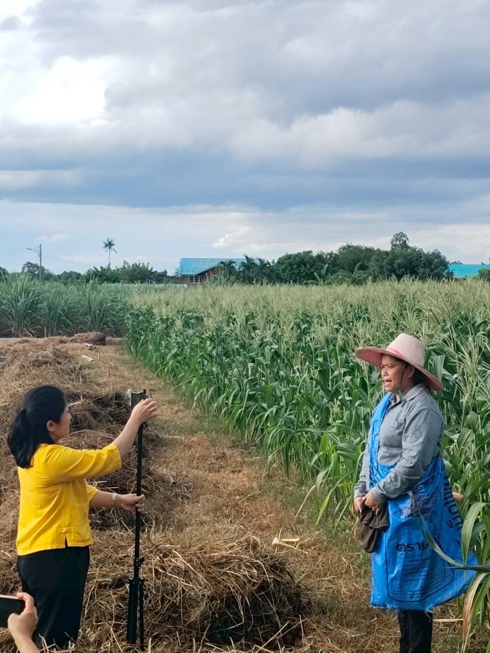 📣 พช.ราชบุรี ติดตามการดำเนินงานกลุ่มอาชีพกองทุนพัฒนาบทบาทสตรี