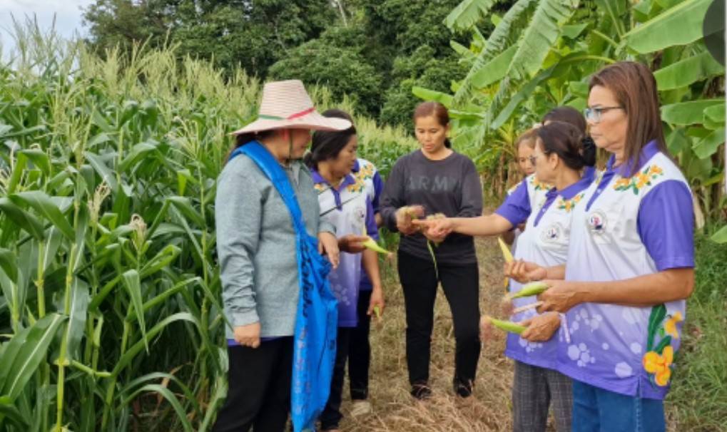 📣 พช.ราชบุรี ติดตามการดำเนินงานกลุ่มอาชีพกองทุนพัฒนาบทบาทสตรี