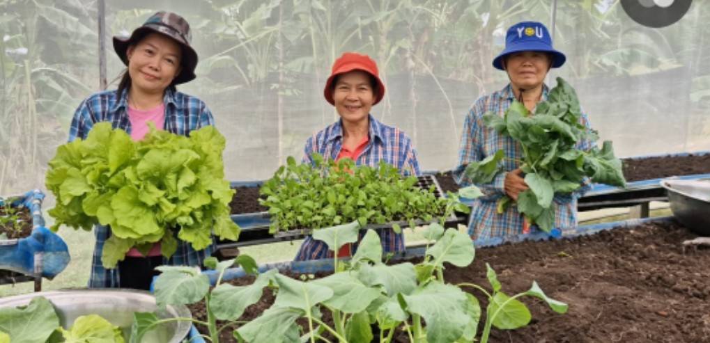 📣 พช.ราชบุรี ติดตามการดำเนินงานกลุ่มอาชีพกองทุนพัฒนาบทบาทสตรี